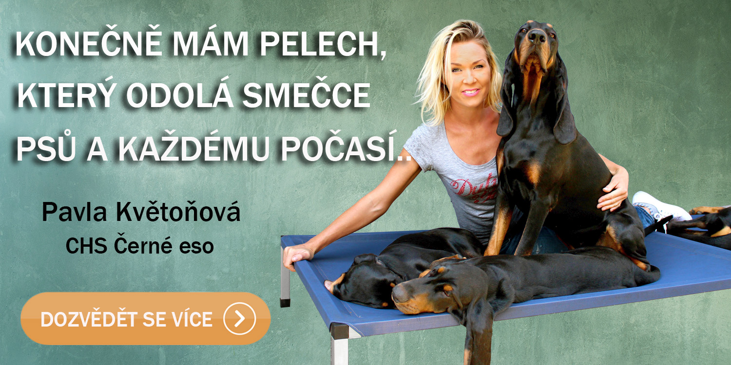 Lehátka Anadi