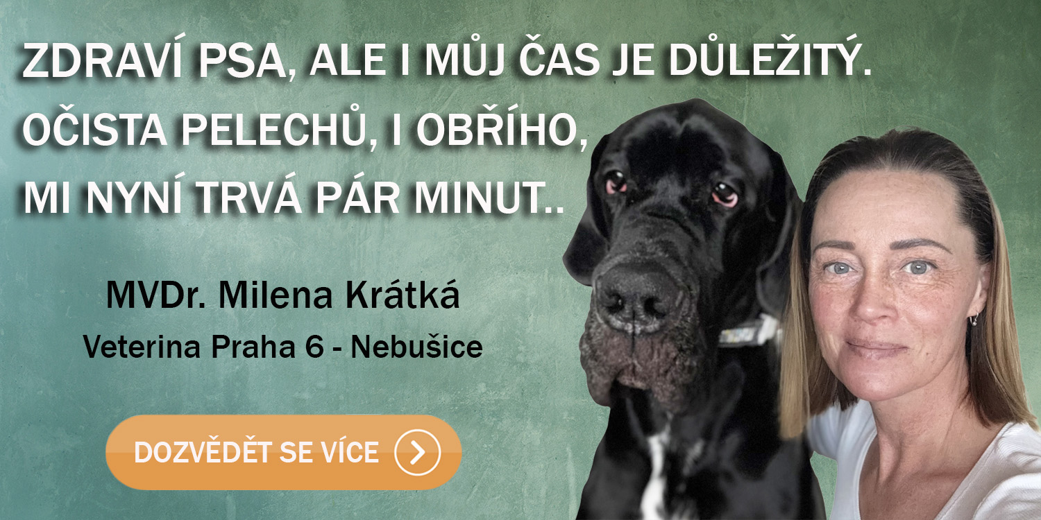 Názor veterináře