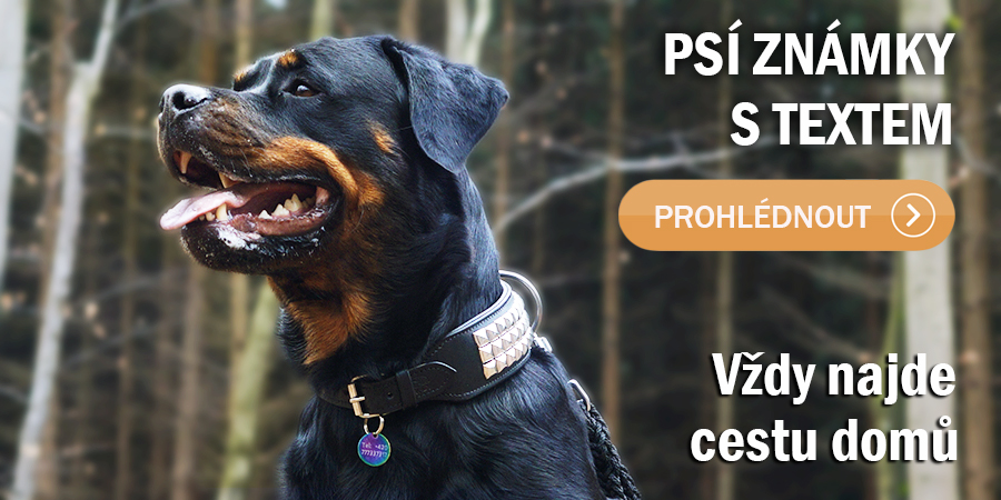 Psí známky s textem