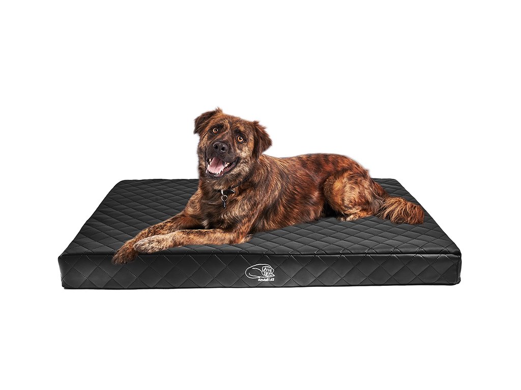 Popis obrázku (kvůli SEO a přístupnosti)