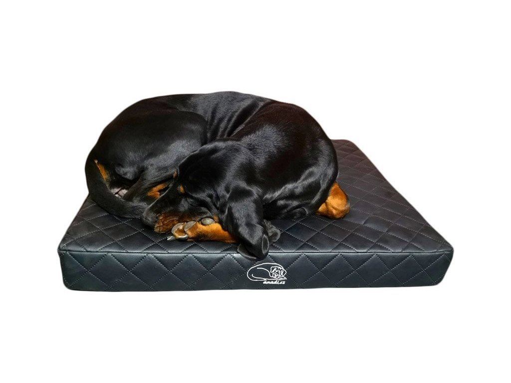 Popis obrázku (kvůli SEO a přístupnosti)