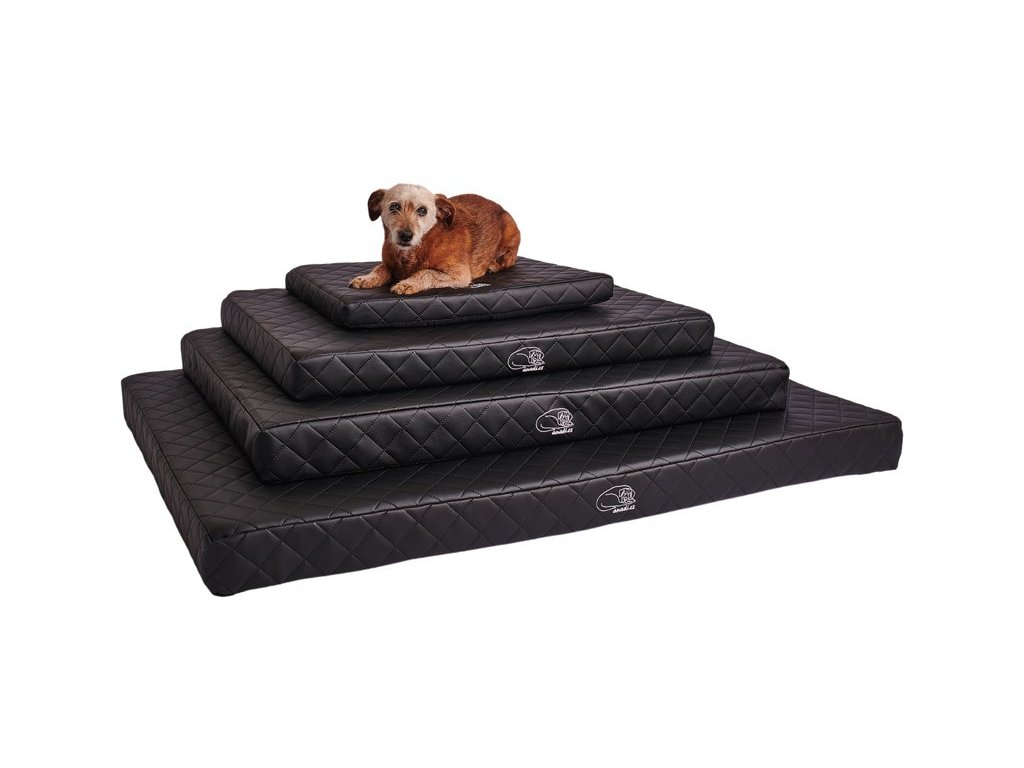 Popis obrázku (kvůli SEO a přístupnosti)