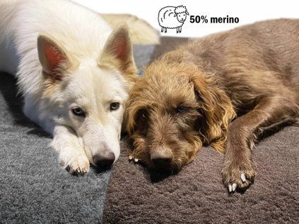 merino 50 web