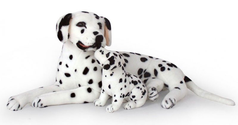 Dalmatin + štěně 110 cm + 36 cm - kvalitně