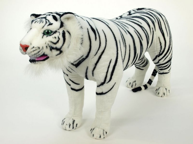 Ussurijský bílý tygr 178 cm - kvalitně
