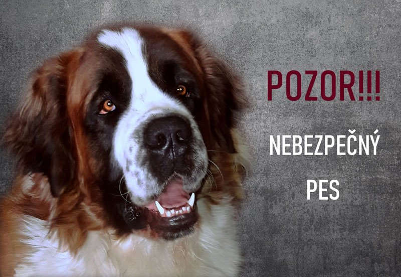 pozor pes moskevský strážní pes