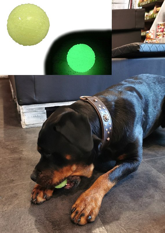 Svítící a pískací míček pro psy
